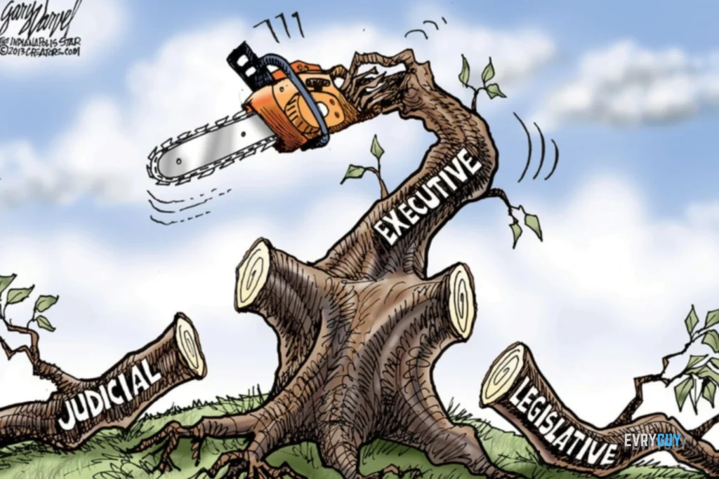 Checks and Balances Failing - EVRYGUY