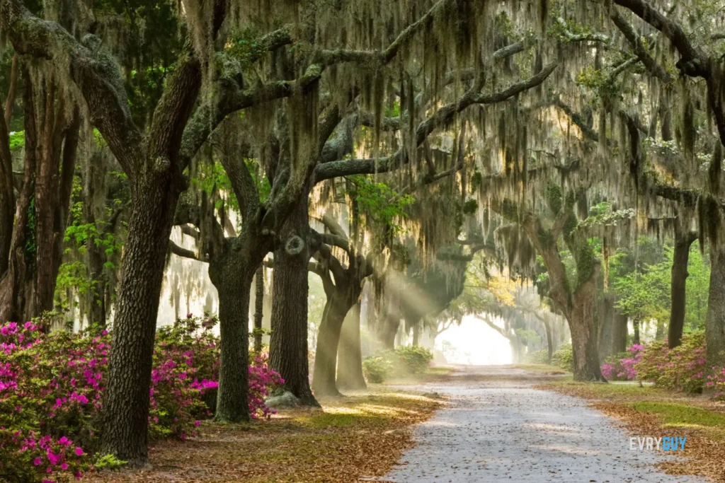 Spring Getaways - Savannah, Georgia - EVRYGUY